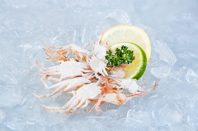 SGPL Frozen Food Supplier Johor Bahru (JB) Singapore Halal Food